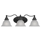 Sea Gull 49652BLE-71 Bath & Vanity Light