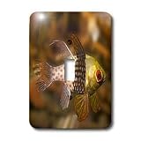 VWPics Underwater - Pajama Cardinalfish.(Sphaeramia nematoptera).Lembeh Straits, Indonesia - Light Switch Covers - single toggle switch