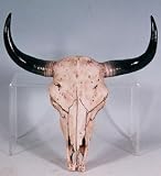 Southwestern Cow Steer Skull Wall Hanging