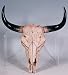 Southwestern Cow Steer Skull Wall Hanging
