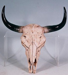 Southwestern Cow Steer Skull Wall Hanging