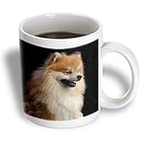 Dogs Pomeranian - Pomeranian portrait - Mugs