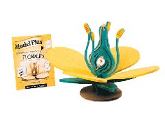 SI MANUFACTURING LIMITED 3-D SCIENCE MODELS THE FLOWER