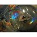 Bakugan Special Attack Clear Translucent Delta Dragonoid II w/ Black Outlines