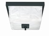 Nuvo Lighting 60/001 Cubica 2-Light Flush Mount with Frosted Glass, Textured Black