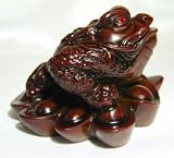 Money Frog