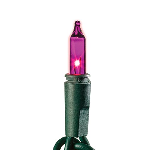 Purple Indoor/Outdoor String Lights 100 Count, Green Wire