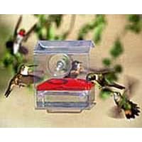 Aspects Nectar Bar Window Feeder-Single Tray by 