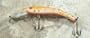 Jlvlures JLV Lures Raptor Minnow Freshwater Diver Brown Trout : Walleye Sauger Pike Bass Steelhead Crankbait Deep Troll Tantalizing Curve Body Wobble Kicking Rattle Rattling Trolling Casting Cast Treble Bronze Hook Darting Structure Fishing Gravel Bottom Rock Stump