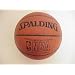 NBA Indoor/Outdoor Official Basketball