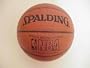 NBA Indoor/Outdoor Official Basketball