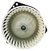 TYC 700090 Chevrolet/Oldsmobile/Pontiac Replacement Blower Assembly