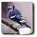 Londons Times Health and Vanity Trends Cartoons - Late Model Ford - Mouse Pads