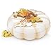 Pumpkin Pie Plate/Holder For Thanksgiving/Holiday Food Storage