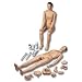 3B Scientific P19 Upgrade Kit for Patient Care Manikin, II (P11)