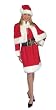 Miss Santa Costume - Adult Std.