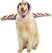 Disney Pixar: Buzz Lightyear Pet Costume (Small)