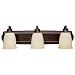 Capital 1013MBZ-130 Traditional / Classic Bronze Bath & Vanity Light