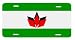 Hungarian Romanian Hungary Flag Auto License Plate
