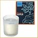Bloom of LOTUS �t���O�����X�L�����h���@�u���[���[�^�X 150g