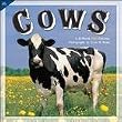 Cows 2010 Wall Calendar