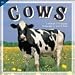 Cows 2010 Wall Calendar
