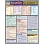 Spanish Grammar (Quickstudy: Academic)