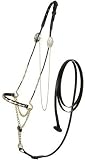 Royal King Scalloped Nose Arabian Show Halter