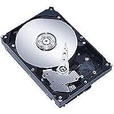 Seagate - Barracuda 7200.10 - 320 Gb - 7200 RPM - 16 Mob - SATA (bulk)