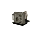 300W Replacement Lamp