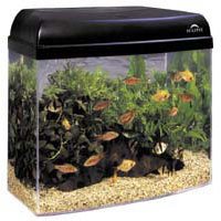 Marineland Eclipse System 12 Aquarium Kit