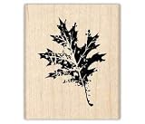 Mounted Rubber Stamp Oak Leaf 31z3U8HUM4L. SL160 Mounted Rubber Stamp Oak Leaf