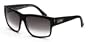 Black Flys Fly Girls FREE FLYING Womens Sunglasses Shiny Black with Grey Lenses