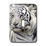 Tigers - White Tiger - Light Switch Covers - single toggle switch