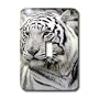 Tigers - White Tiger - Light Switch Covers - single toggle switch