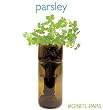 Growbottle Organic Parsley Kit
