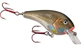 Fishing: Bagley Suspending Killer B