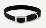 Coastal 16 inch Hunter Green 5/8 Nylon Web Collar