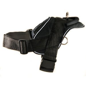 Dean & Tyler All Weather Dog Harness - Extra Small Size for Small Breeds Like Spaniel, Basset, Pug, French Bulldog and for Puppies... Fits Girth 20" - 23" - Black with Reflective Trim for Everyday Use - Great Product!!! - Made in Europe !!!