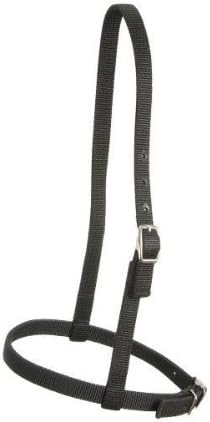 Royal King Nylon Caveson