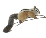 Plush Chipper Chipmunk 7