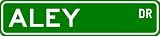 ALEY Street Sign ~ Personalized Family Lastname Sign ~ Gameroom, Basement, Garage Sign ** ALUMINUM