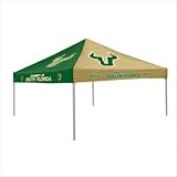 Collegiate Pinwheel Tent Team: South Florida