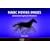 Magic Moving Images: Animated Optical Illusions