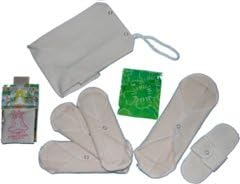 WillowPads New to Cloth Kit