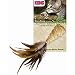 Pet Supplies : Kong Naturals Cone w Feathers