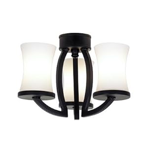 3 Light Modern Light Kit Antique Brass Fanimation Ceiling Fan