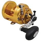 International Torque 100 Star Drag Reel