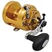 International Torque 200 Star Drag Reel
