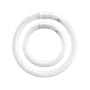 ASL CIR22/32/41K 22-Watt Circline and 32-Watt Circline 4-Pin Electronic/Magnetic Ballast TWIN PACK, Cool White